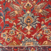 Persian Isfahan Bird Runner Iran