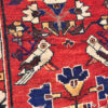 L0048_9-6×5-5_O2_04w