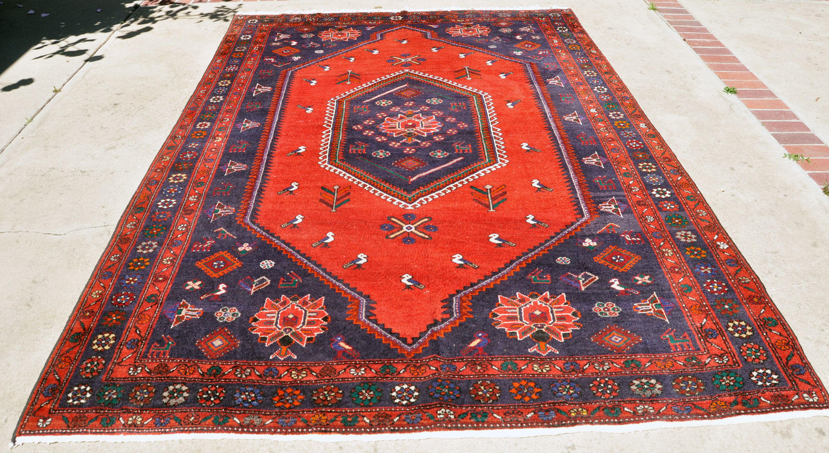 KL0025_10x7_O163_12w