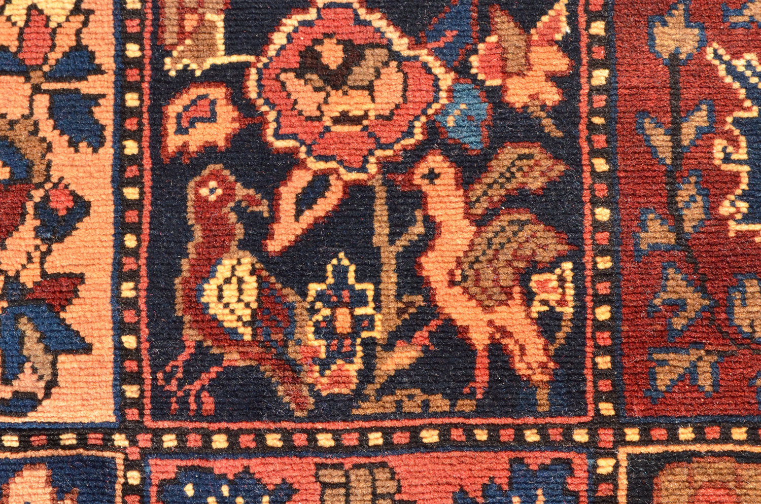 BA0227_9-7×4-7_N_13w