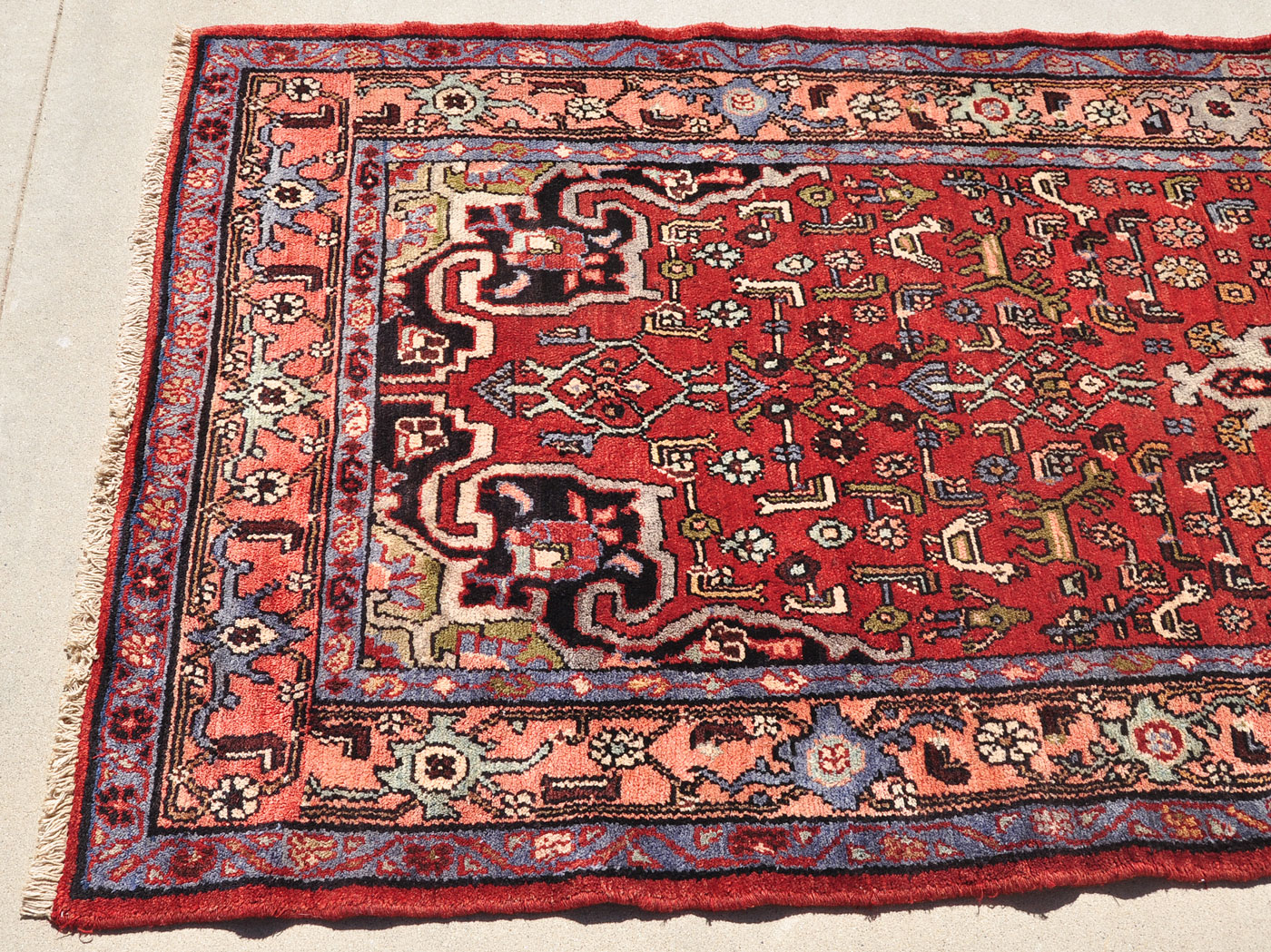 H0101_10-1×3-6_D21_24w