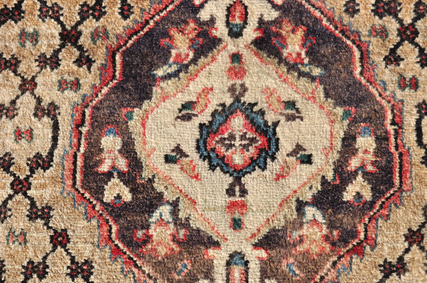 KO0016_9-7×3-2_D42_11w