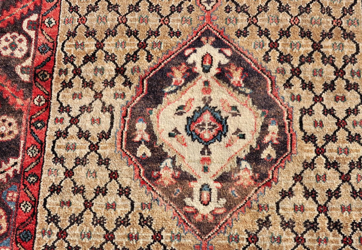 KO0016_9-7×3-2_D42_12w