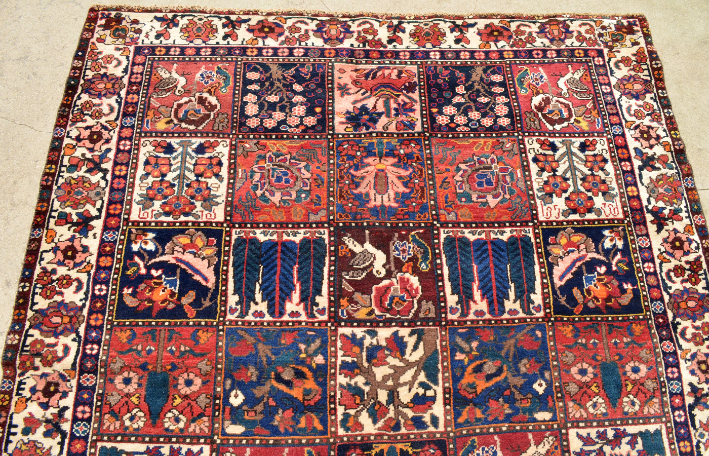BA0222_10x5-7_O7_05w