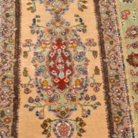 Tabriz Tabatabai Runner Iran