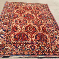 Bakhtiari Persian Garden Rug