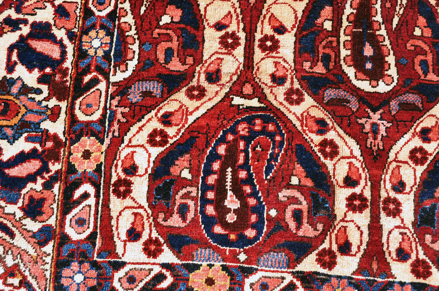 <a class="more-link" href="https://dingo.gallery/product/persian-bakhtiari-garden-paradise-rug-8-ft-3-in-by-5-ft-3-in/">Continue Reading →</a> BA0119_8-3×5-3_O18_08w