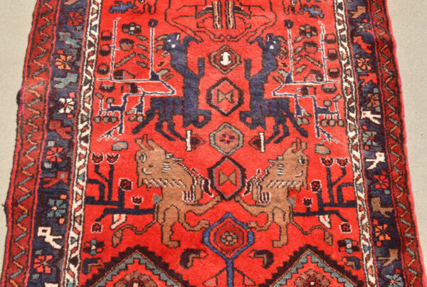 Lions deer and devils runner